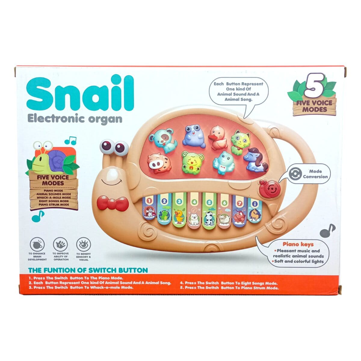 Snail Electronic Organ